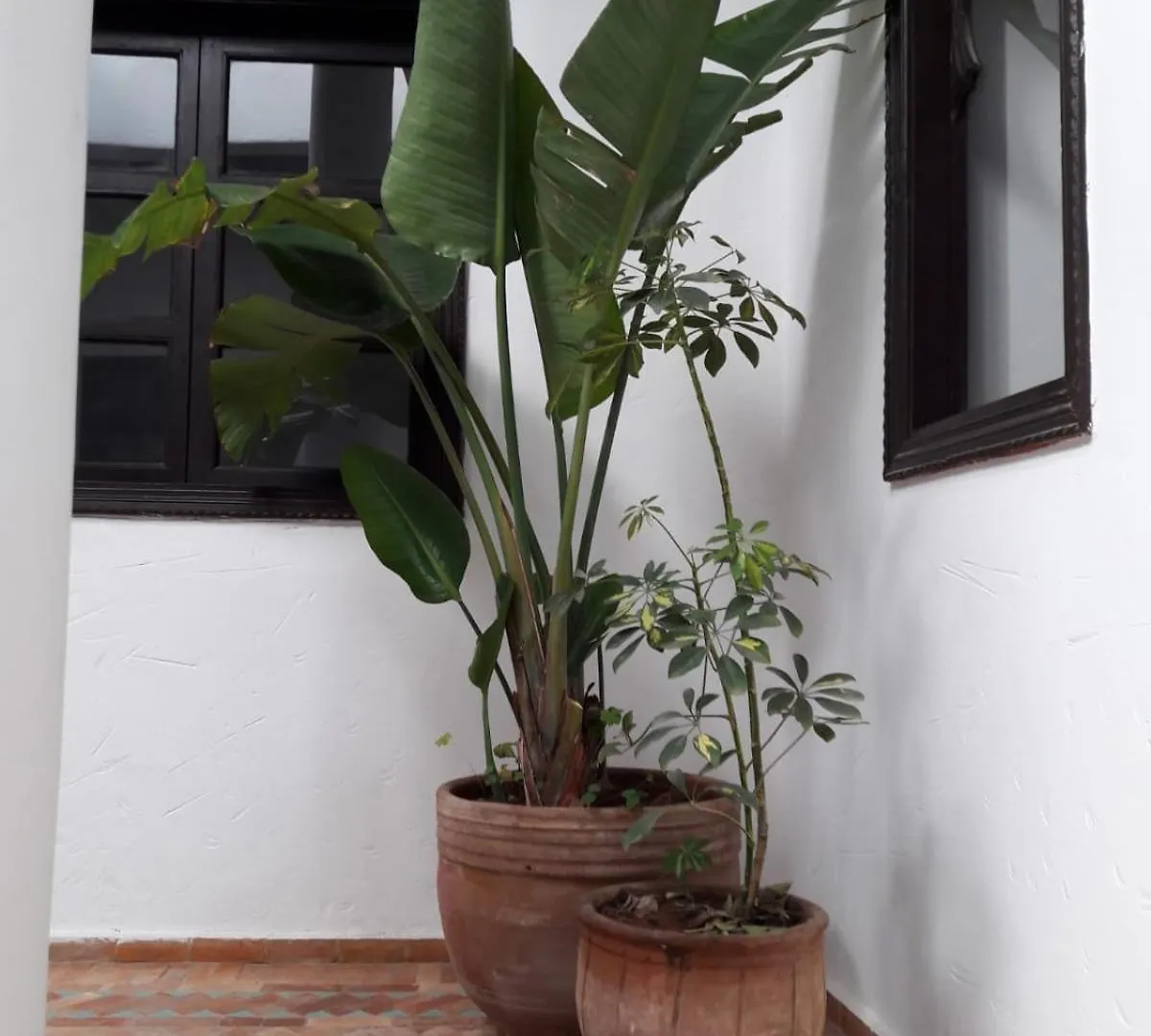 Luxury Riad Des Arts Essaouira Morocco