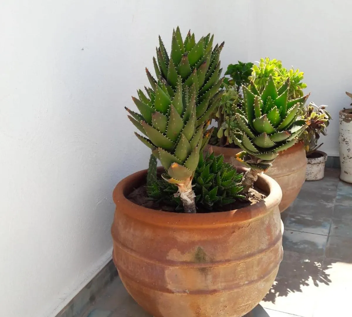 Luxury Riad Des Arts Essaouira Villa